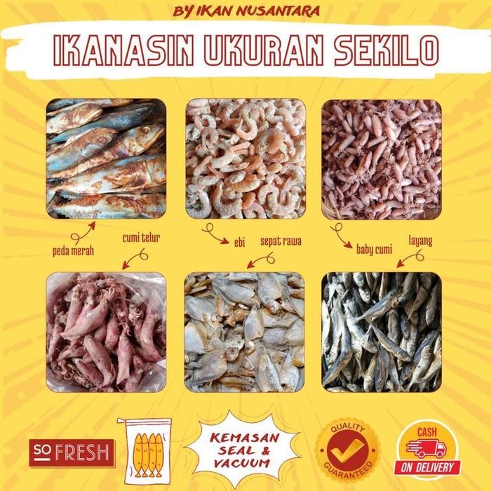 

UKURAN 1kg IKAN CUMI ASIN KERING Food Ebi Rebon Sotong Udang - Babycumi Premium Terlaris