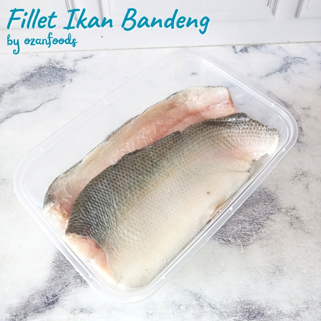 

Fillet Ikan Bandeng 1 Ekor