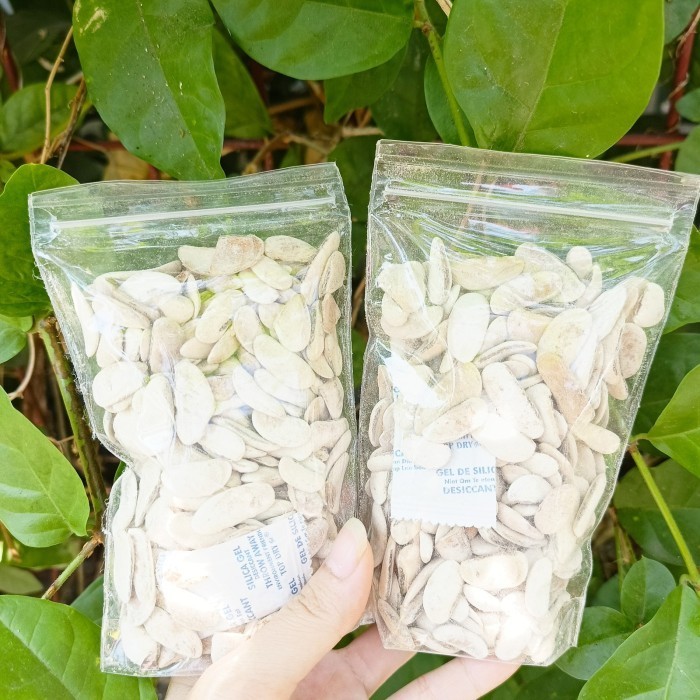 

HEMAT! biji mahoni kupas kering - 100 gram
