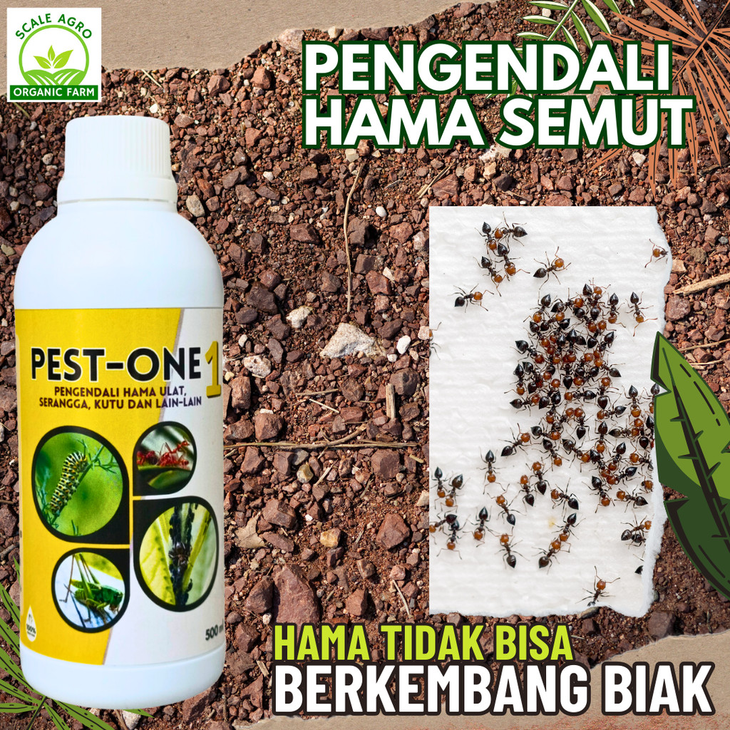 obat hama semut untuk tanaman, obat pembasmi hama dan semut, obat hama semut paling ampuh