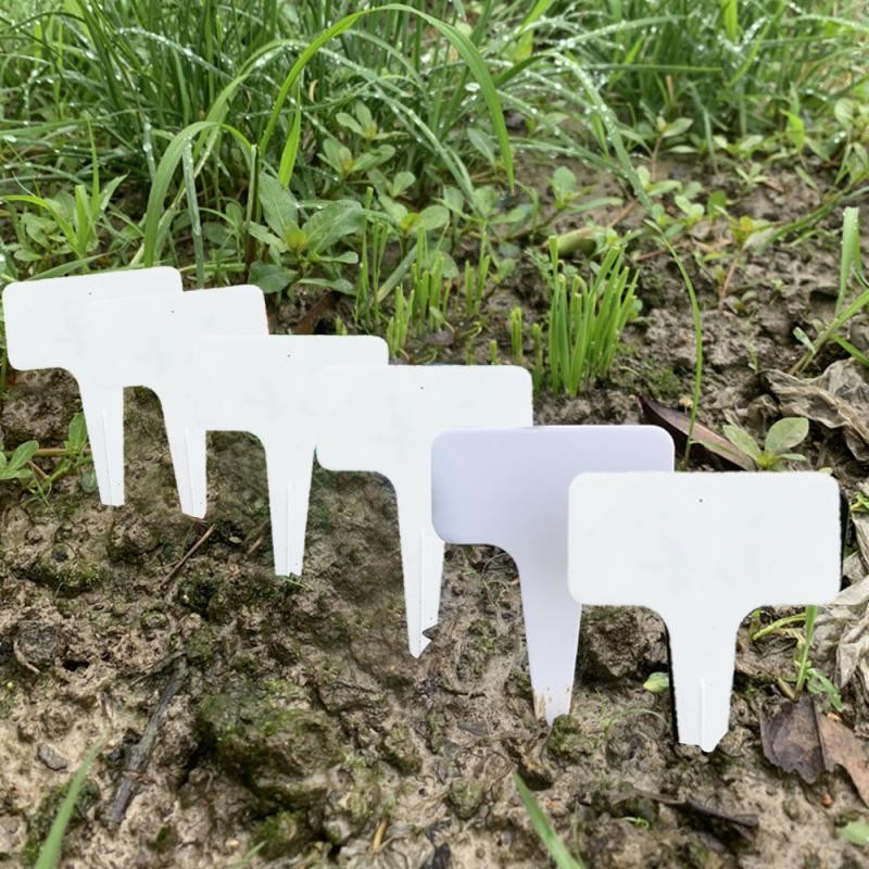 

Plant Marker Thickened Label Plate Gardening Tools Thickening Gardening Supplies More Meat Label Label Card Plant Label