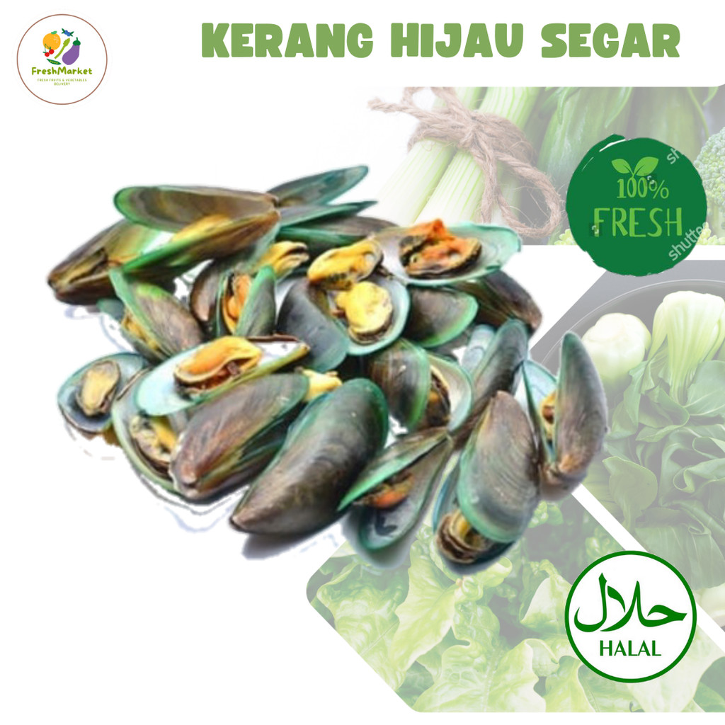 

Kerang Hijau 500 Gram Freshmarketlampung