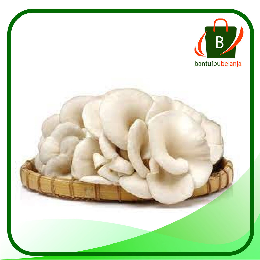 

JAMUR TIRAM / JAMUR PUTIH SEGAR [harga per bungkus]