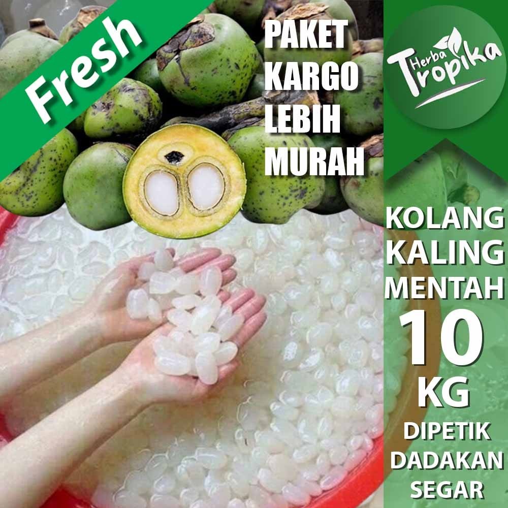 

Paket kargo Kolang Kaling Fresh 10 kg toko herba tropika