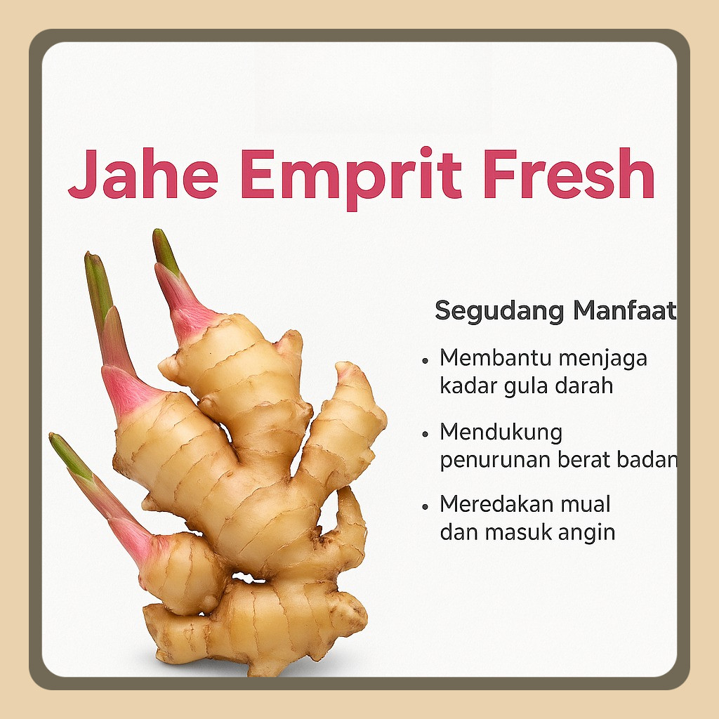 

Jahe Emprit Segar Mama Fitri 1kg Jahe Putih Organik