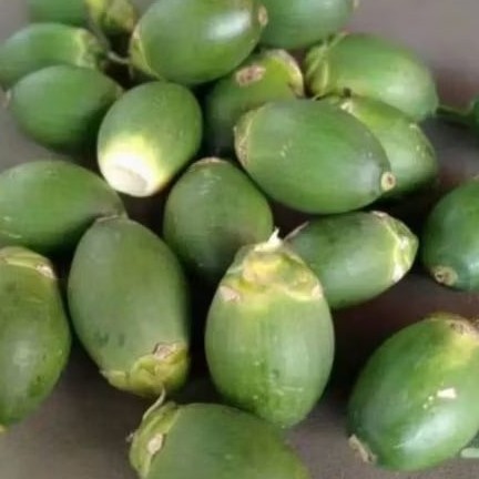 

Buah pinang muda . Buah jame. 500 gram