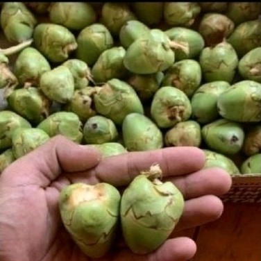 

buah markisa sgar 1 kg ...