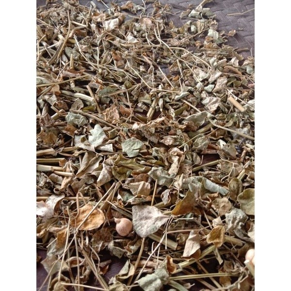 

COD DAUN KELOR KERING 1 PLASTIK (teh daun kelor) OBAT PERADANGAN DAN PENGURANGAN LEMAK