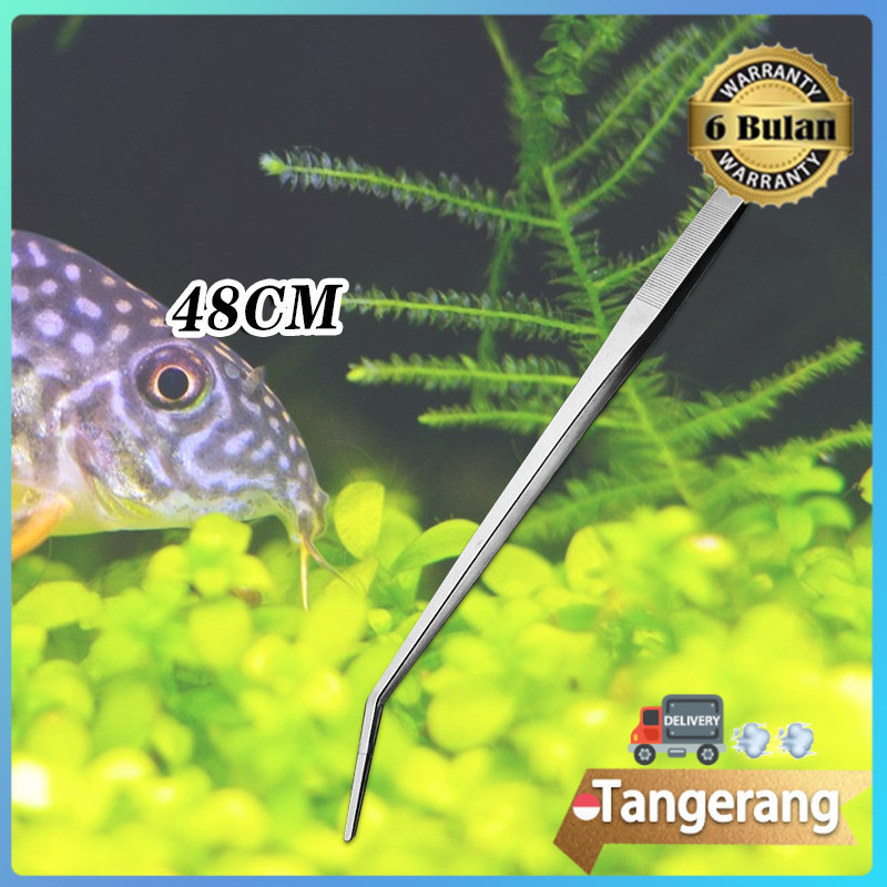 Pinset Aquascape Stainnless Pinset Panjang Aquascape Pinset Tweezers Aquascape