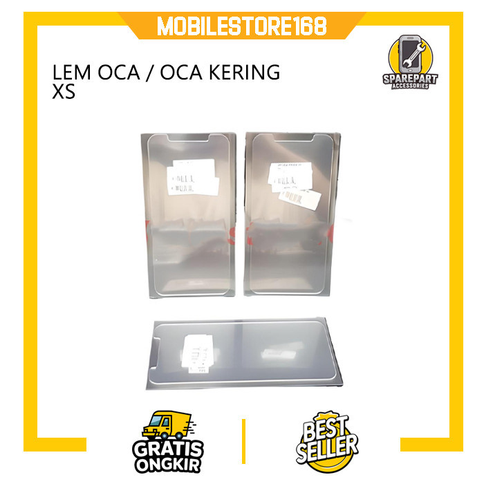 LEM OCA / LEM OCA KERING  XS