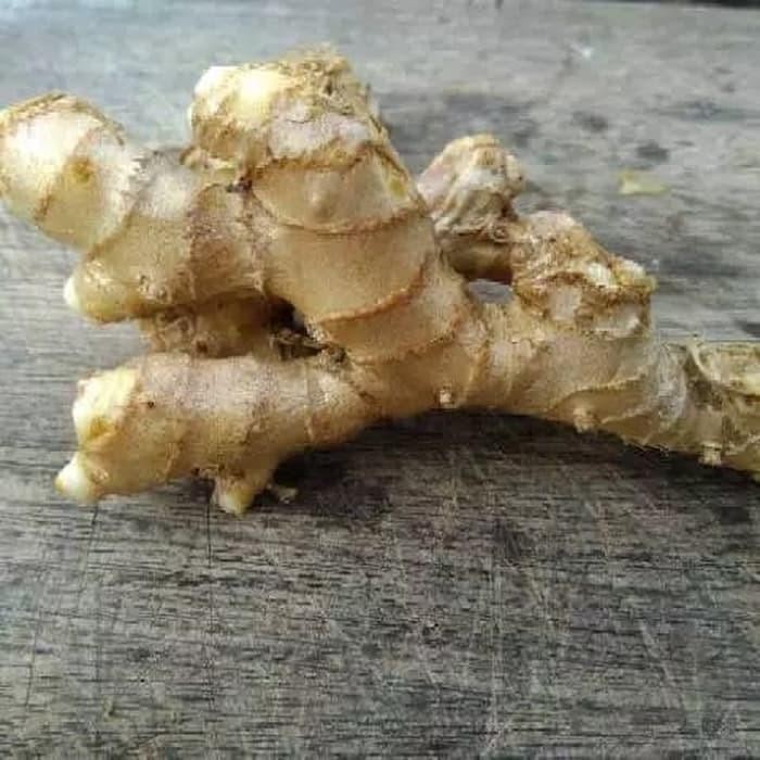 

|BEST| Lempuyang segar 1kg ⠀⠀⠀⠀ Shop with