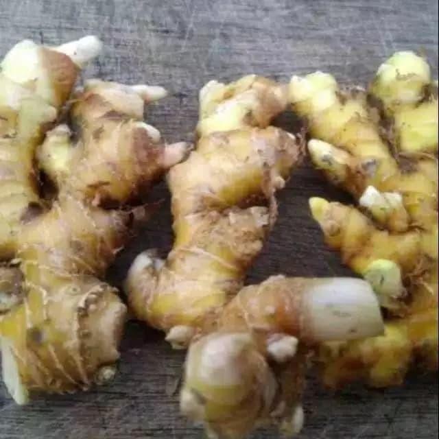 

Ready stok lempuyang segar 1kg Silahkan diorder Shop with