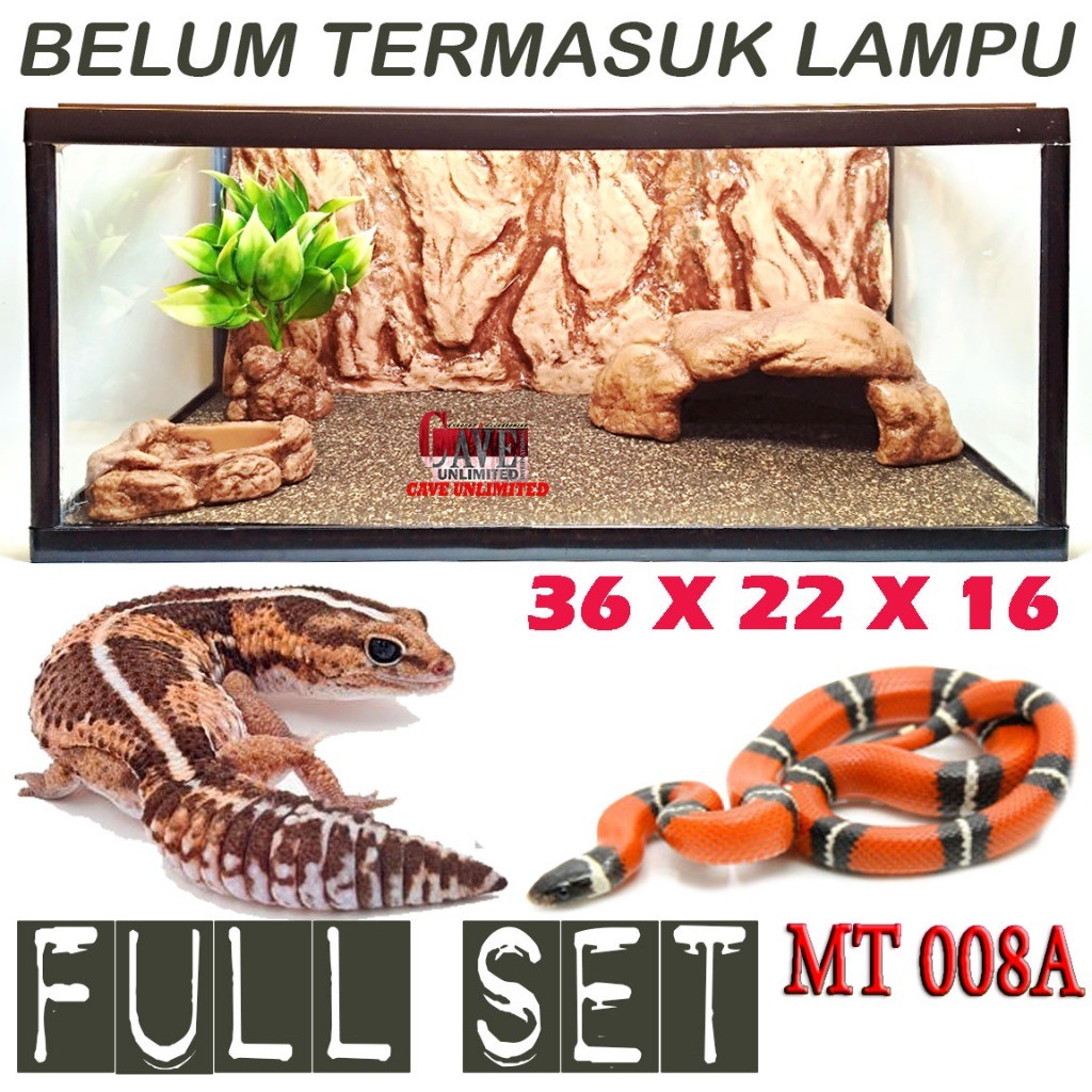 MT008A PAKET KANDANG GECKO BEARDED DRAGON TERRARIUM REPTILE TORTOISE BABY ULAR CORN SNAKE BALL PHYTO