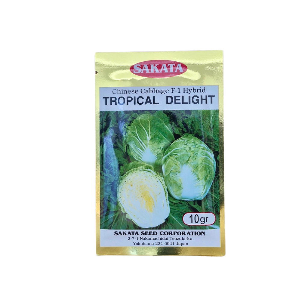 Tropical Delight 10gr Sawi Putih Tanpa Bulu - Benih Berkualitas Tinggi