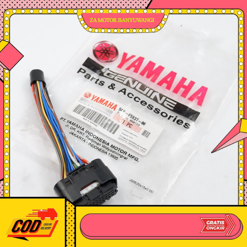 Sensor ECU 54P Motor Mio J & X-Ride Onderdil motor