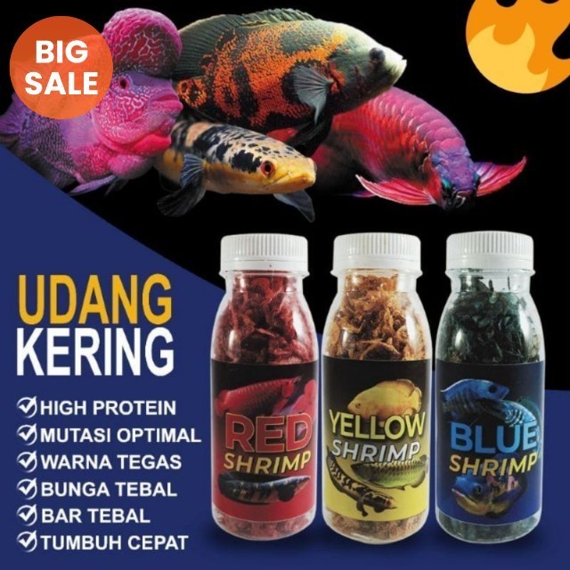 Udang kering blue red yellow / udang kering / pakan chana / pakan louhan / pakan kura-kura / pakan i