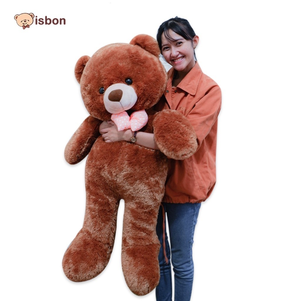 VR65YA Boneka Beruang Jumbo teddy bear Besar Istana Boneka Cippi Bear With Syall jojon