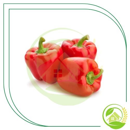 

Paprika Merah Segar 500gr