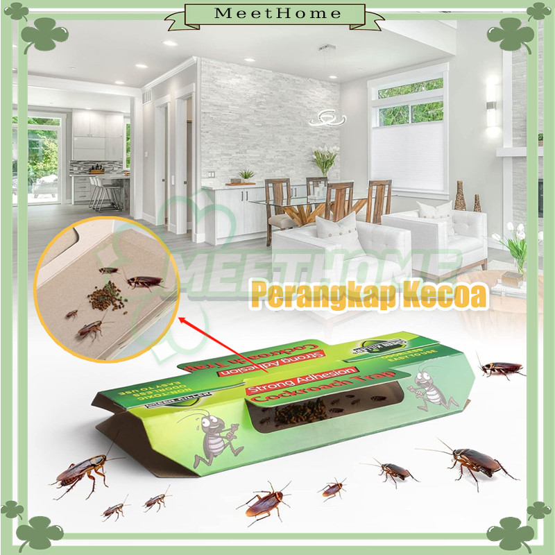 5 Kotak Perangkap Kecoa Rumah Papan Lem/Perangkap Kecoa Umpan Dan Racun Pembasmi Kecoa/Lem Perangkap