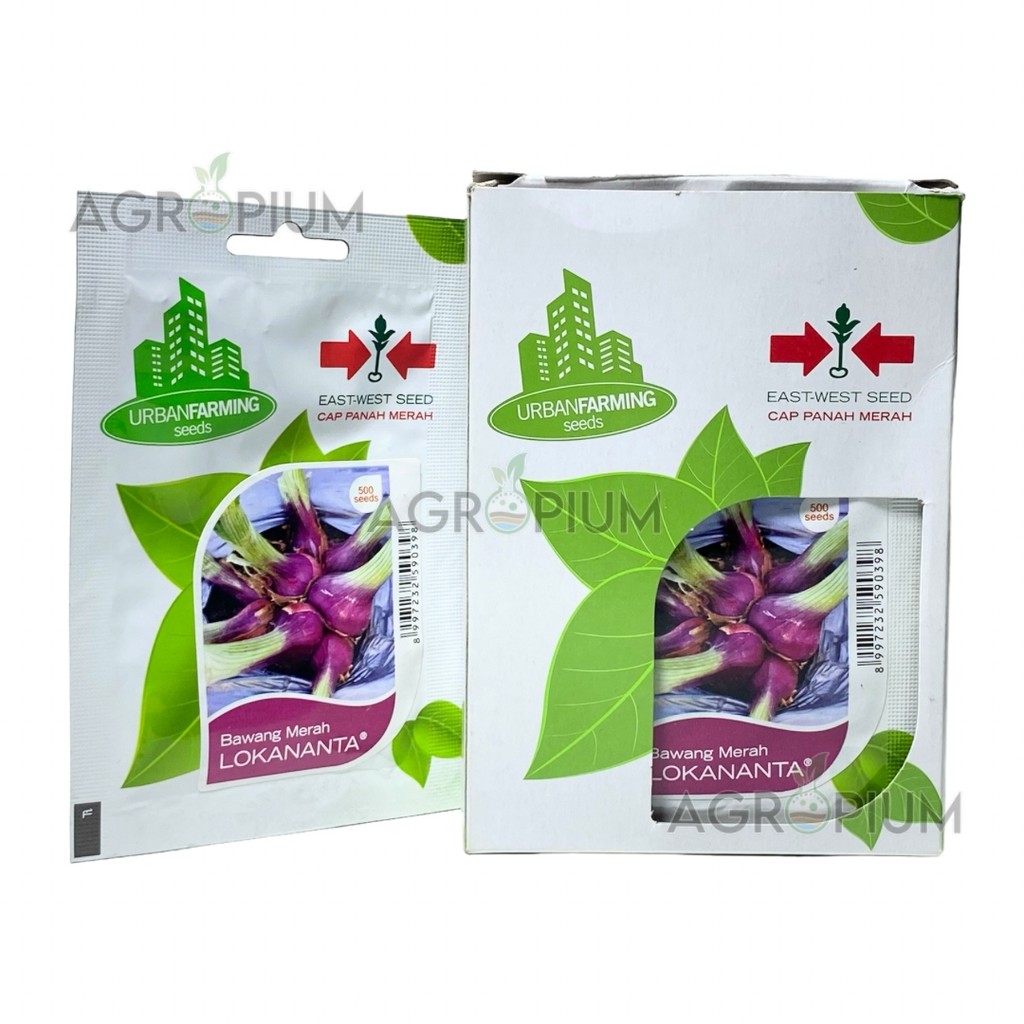 Benih Bawang Merah LOKANANTA Isi 500 Butir Cap Panah Merah