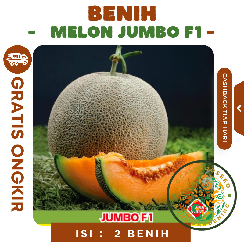 BERKEBUN 2 Benih Melon Jumbo F1 Hibrida Bibit Buah Melon Orange Manis Super Besar Bintang Asia Tahan