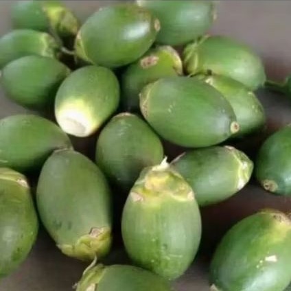

Buah pinang muda 500 gram ab