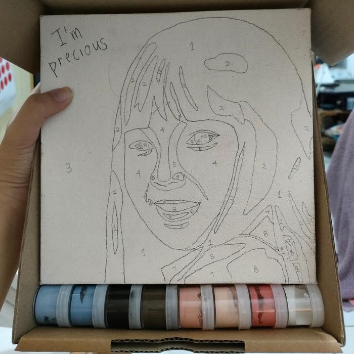 

custom canvas , diy paint by number , custom kanvas dari foto - 20x20