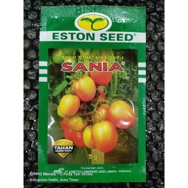 

Benih Tomat Sania 5 Gram Hibrida F1 Buah Keras dan Tahan Angkut