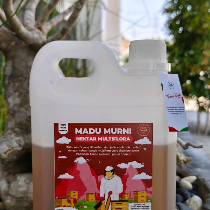 

Hot Produk Madu Hutan Nektar Multiflora 1 kg Terbaik dan Terlaris