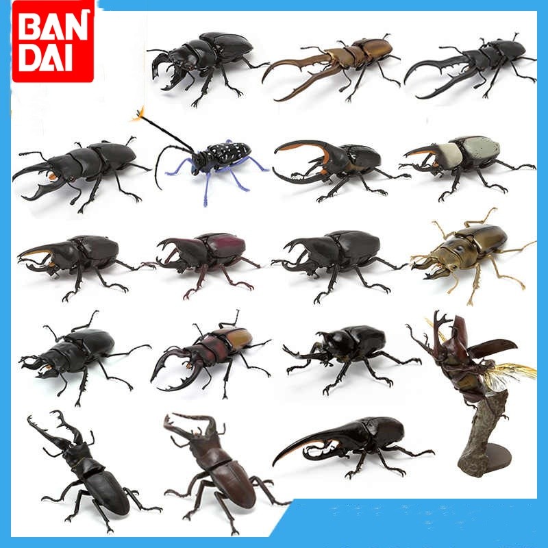 Hot Original Bandai Biology Illustrated Guide Insects Series Beetle Different Style Models Collectio