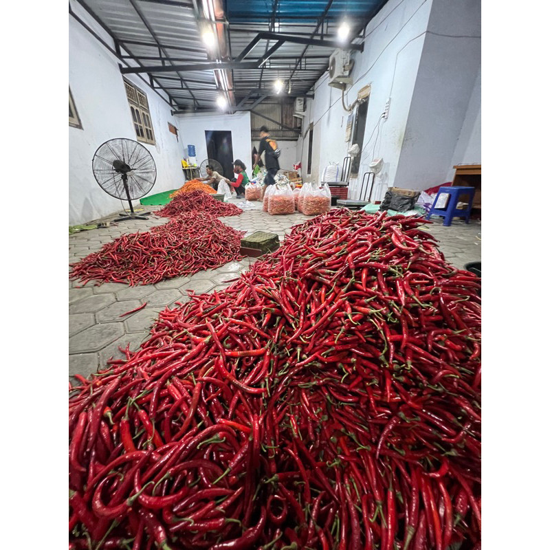

Paket CABE MERAH BESAR 1kg(MAX CO 1kg) (wajib baca deskripsi yaa membeli berarti setuju dg keadaan apapun.