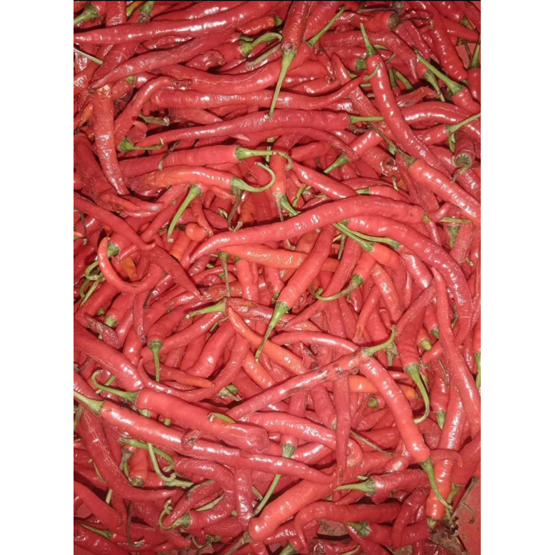 

Paket Cabe Cabai Besar Merah 1 kg 1000 gram TW gak pedas
