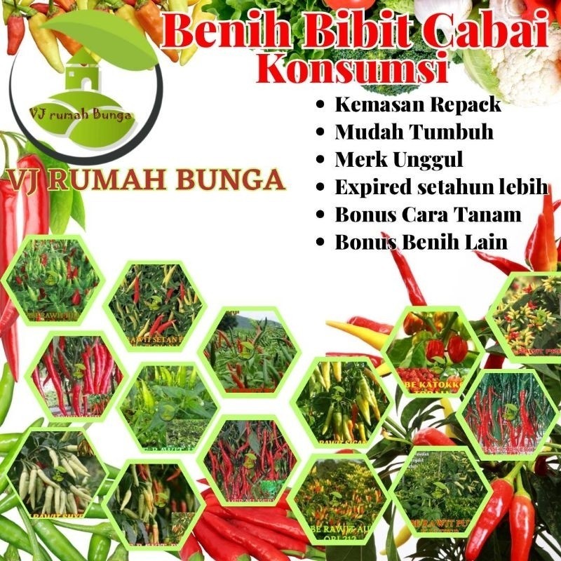 Benih Cabe Benih Bibit Cabai Rawit konsumsi Benih cabe merah besar keriting rawit hijau