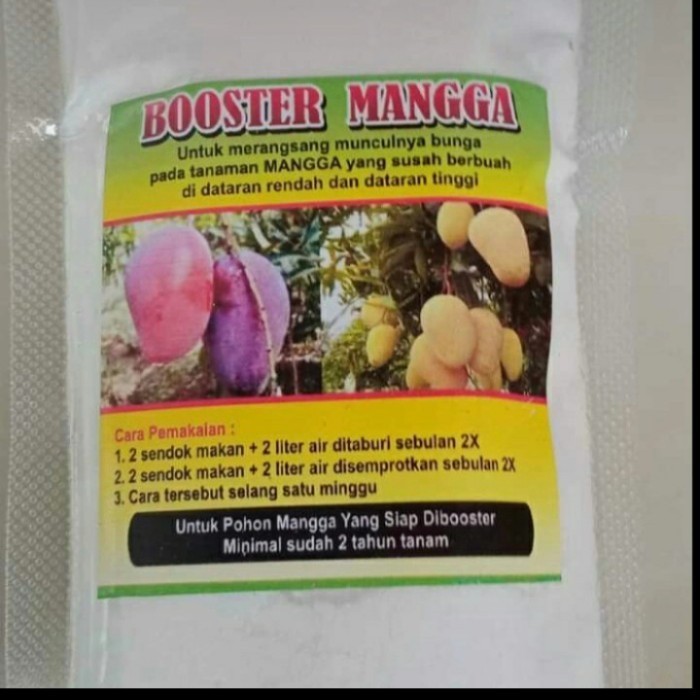 pupuk boster /pupuk boster pohon mangga cepat berbunga