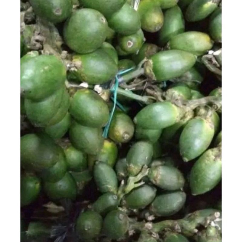 

Buah Pinang