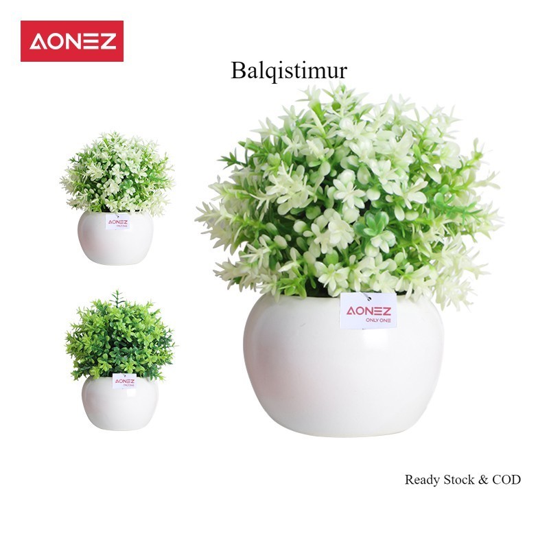 BALQIS BUNGA PINTAR HIASAN TANAMAN FLOWER BUNGA MILAN KECIL HIAS DENGAN KERAMIK POT BUNGA BUNGA BUAT