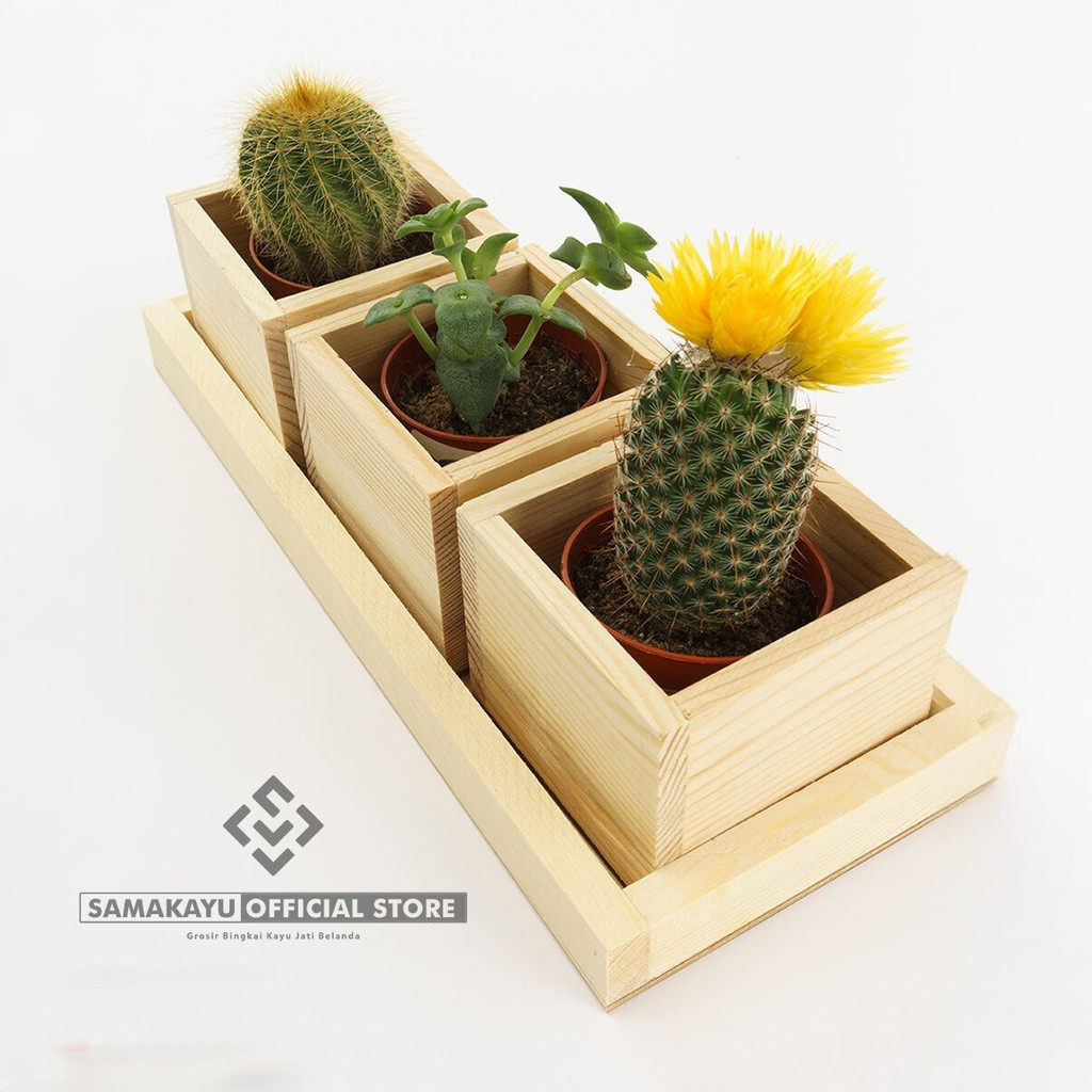 Set 4 Sekat Box Kotak Kayu Sati Paket BOX kayu Kotak Kayu Pinus Kotak Kayu Jati Belanda