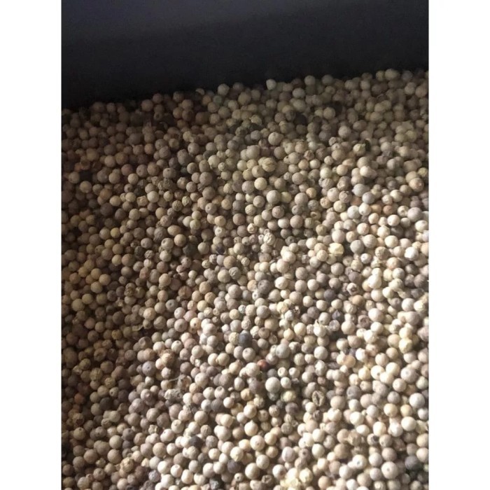 

cocoonrebirth lada putih butir 1kg - 250gr