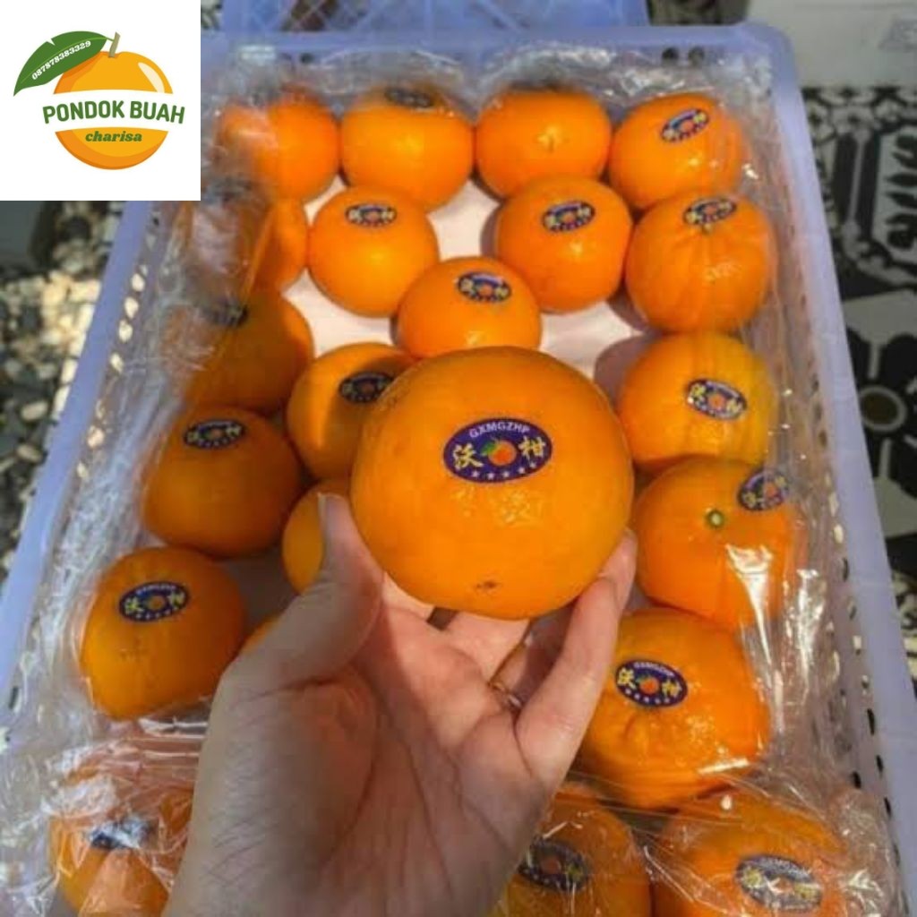 

jeruk wogan harga per keranjang berat 6kg premium