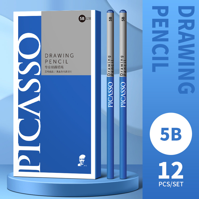 

PICASSO 12 Pcs Sketch Pencils Graphite Drawing Pencil Set For Artists Sketch Charcoal Pencil Sketching Drawing Art Supplies