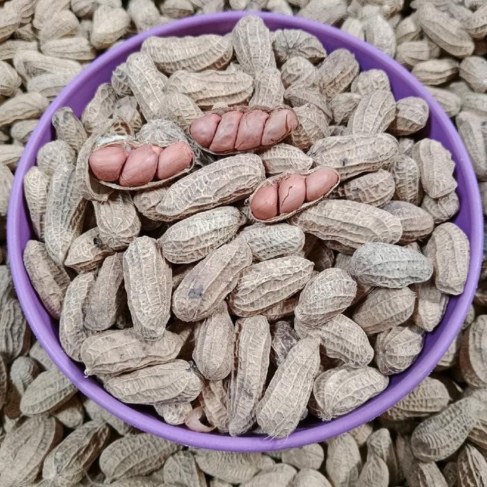 

f z e KACANG SANGRAI BENDO ORIGINAL 1 KG - -, -NG