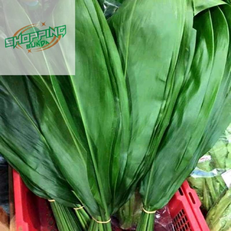 

DAUN HANJUANG HIJAU MERAH BUNGKUS BAKCANG SIAP KIRIM