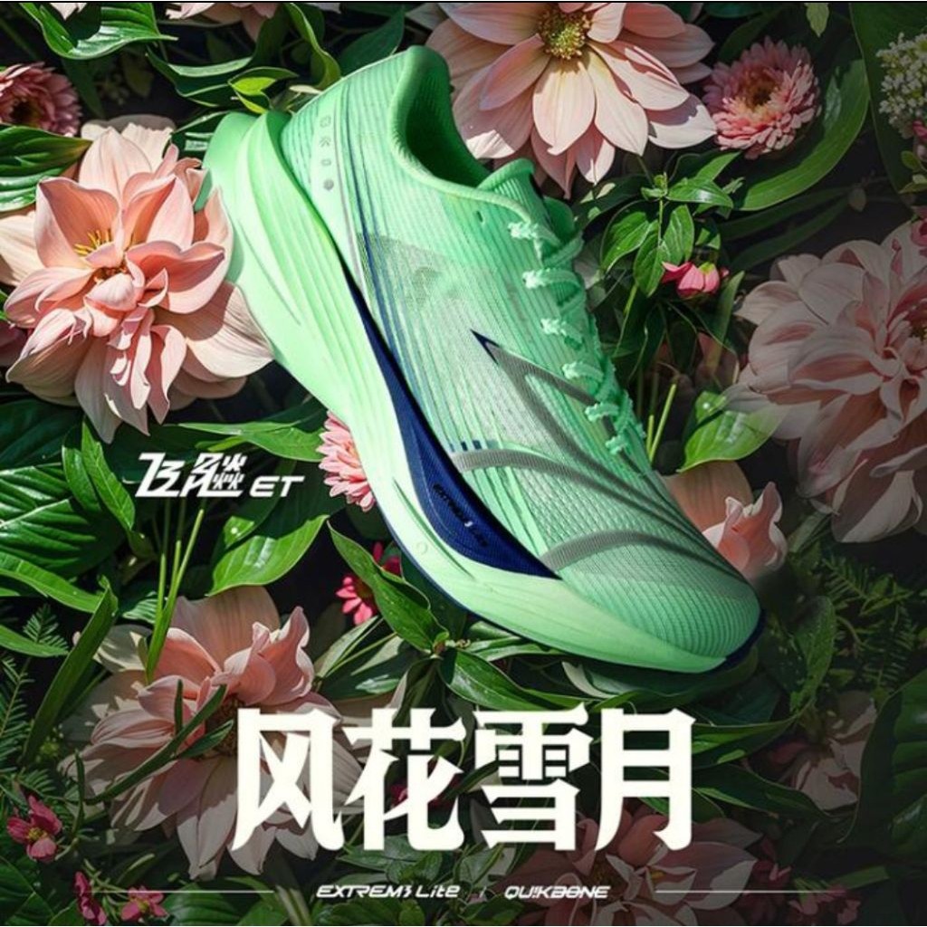 W-COLLECTION / Running Shoes, 361° Furious ET " Feather "