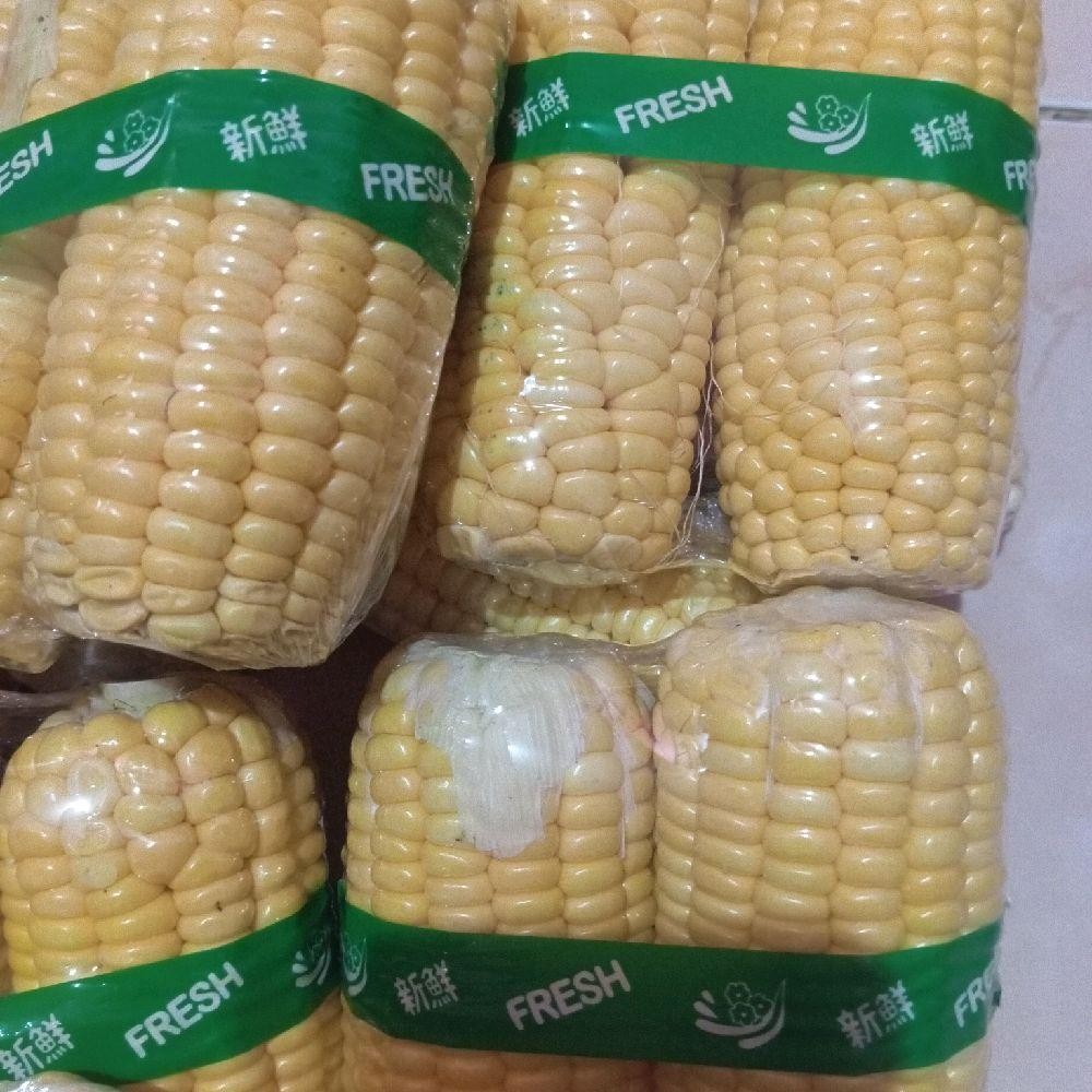 

wortol ,terongungu, labu, jagung, kol sayuran kombinasi Wortel