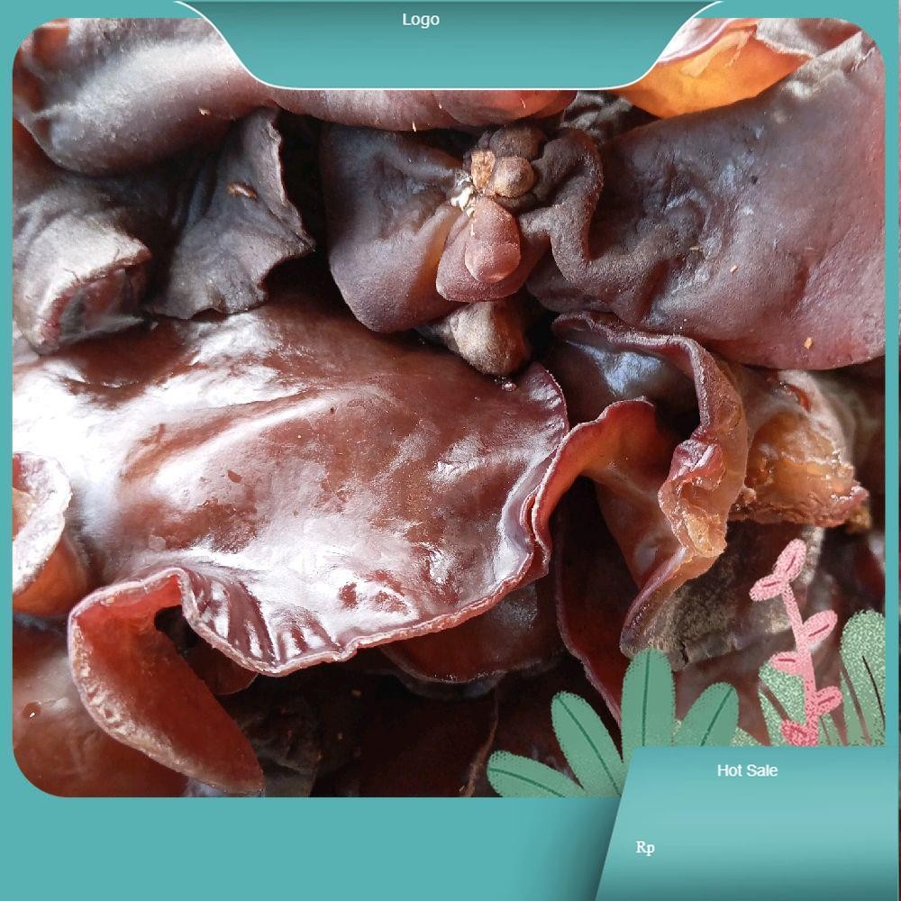 

jamur kuping hitam lember hitam berat 500gram