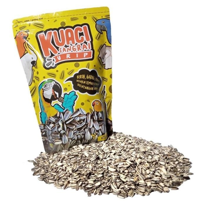 

Promo Kuaci Sangrai Urip 900gr Kwaci Sangrai small parrot macaw kakaktua
