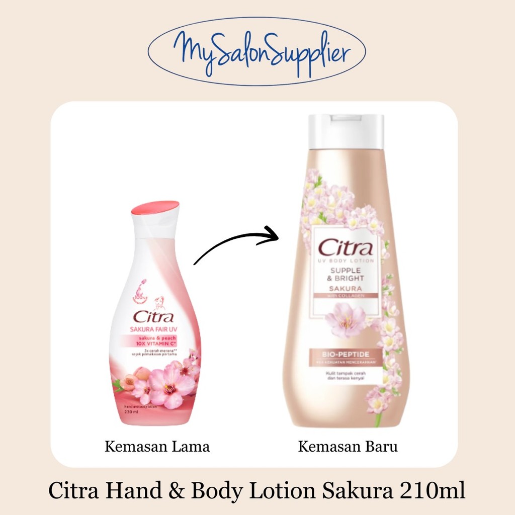 Citra Hand and Body Lotion Sakura Fair UV 210ml