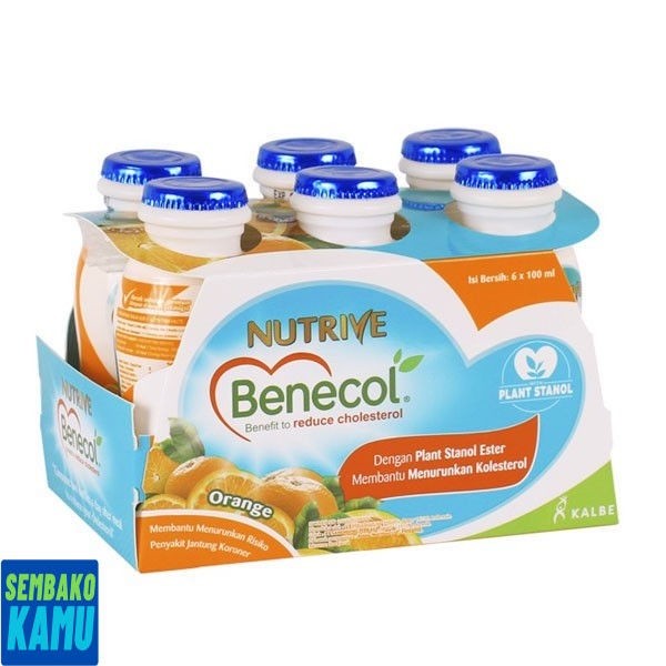 

Nutrive Benecol Orange 6 pcs x 100 ml - Yogurt