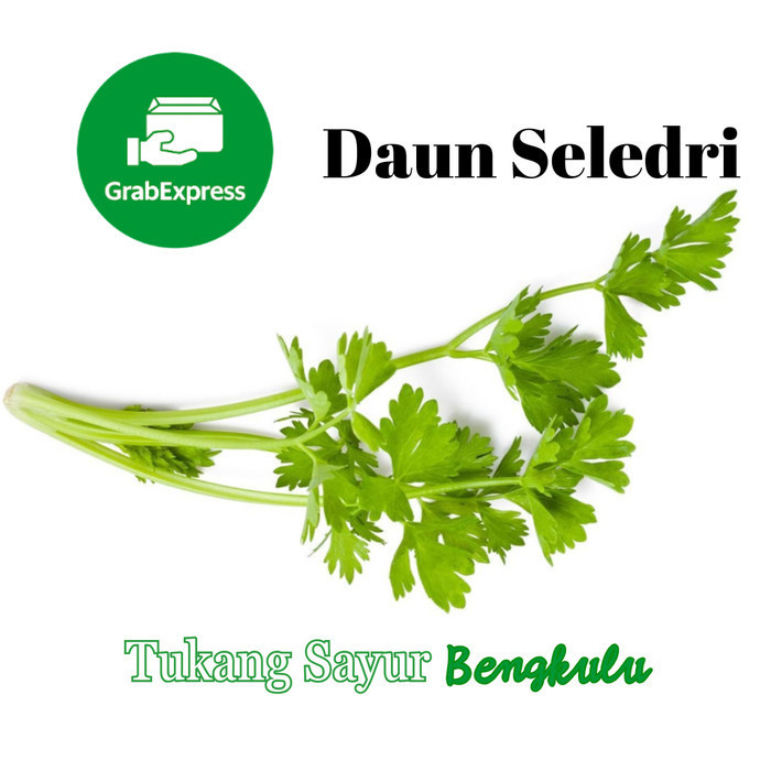 

Daun seledri sop 100gram Grab instan Tukang Sayur Bengkulu