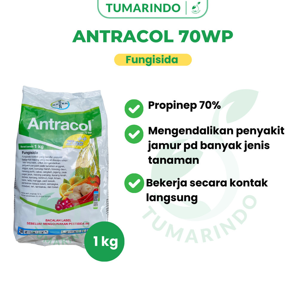 Antracol 70wp 1kg Fungisida Kontak Pengendali Jamur